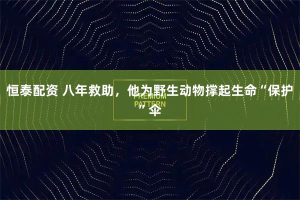 恒泰配资 八年救助，他为野生动物撑起生命“保护”伞