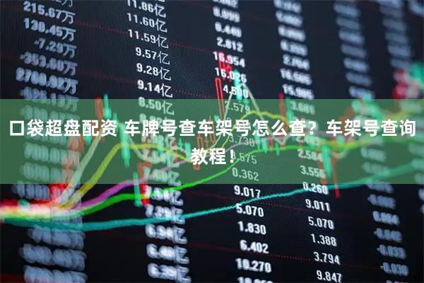 口袋超盘配资 车牌号查车架号怎么查？车架号查询教程！
