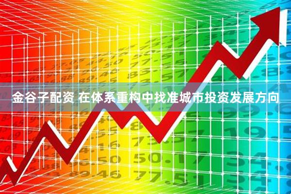 金谷子配资 在体系重构中找准城市投资发展方向