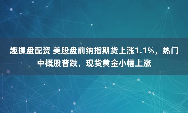 趣操盘配资 美股盘前纳指期货上涨1.1%，热门中概股普跌，现货黄金小幅上涨